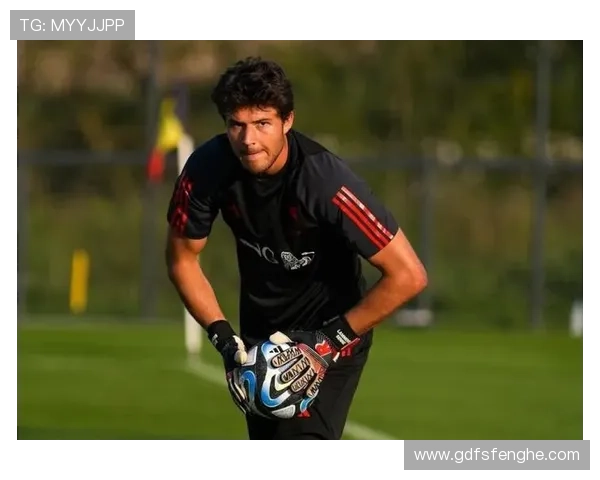 曼联新赛季门将阵容或保留四人 马丁未加盟仍能形成强力组合 曼联新赛季门将阵容或保留四人 马丁未加盟仍能形成强力组合